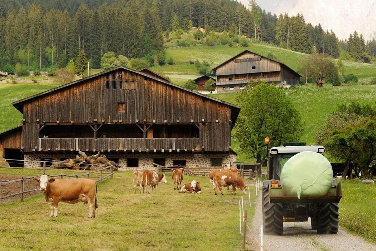 Moserhof Ferienwohnung Sunnseit Sarentino Bagian luar foto